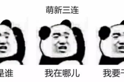 龙泉单身小姐姐,邂逅美好，寻觅良缘
